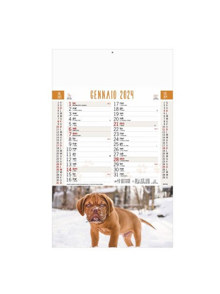 b-77-calendario-cani-e-gatti-nc.jpg