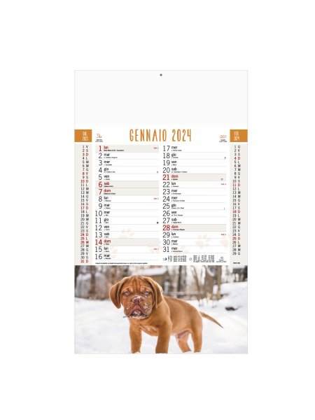 B/77 - CALENDARIO CANI E GATTI