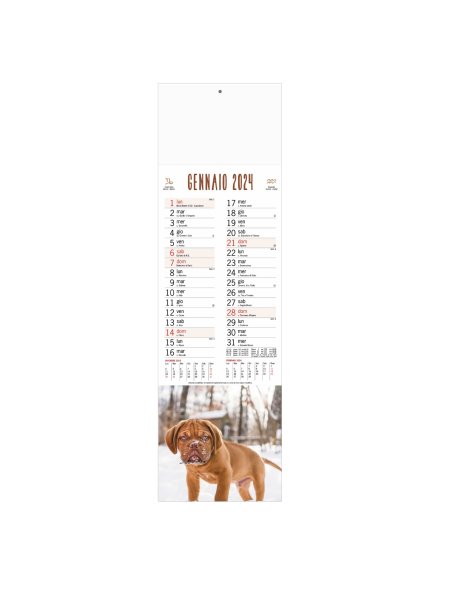 B/71 - CALENDARIO  CANI E GATTI  