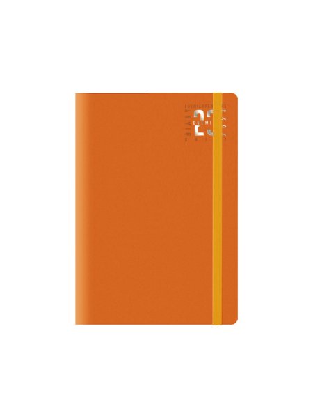 0141-agenda-giornaliera-15x21-arancio.jpg
