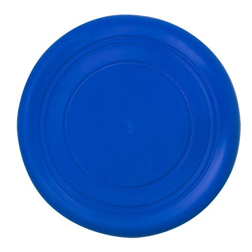 frisbee-girud-blu-4.jpg