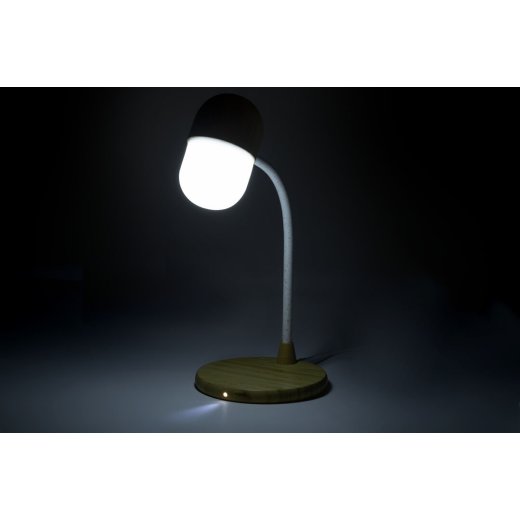 lampada-multifunzione-lars-34.jpg