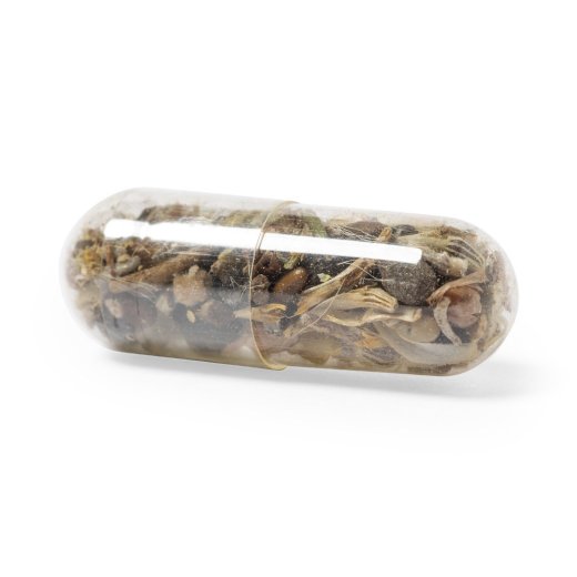 capsule-di-semi-biyok-1.jpg