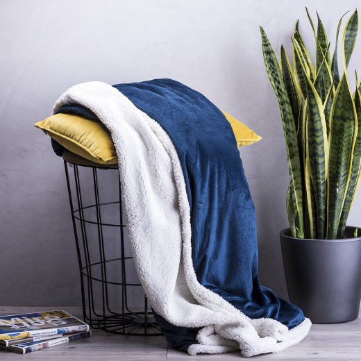coperta-lerten-4.jpg