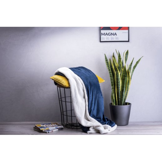coperta-lerten-5.jpg