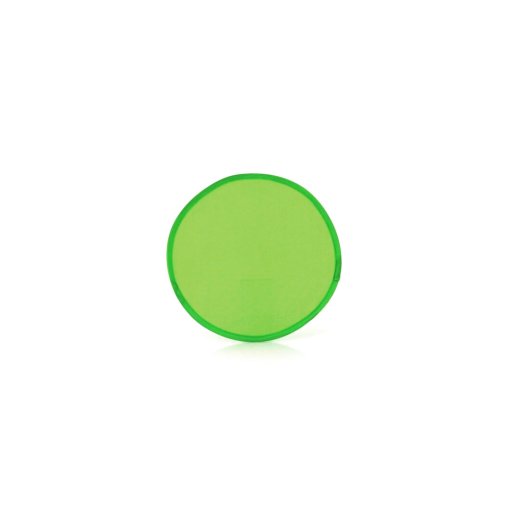 frisbee-watson-14.jpg