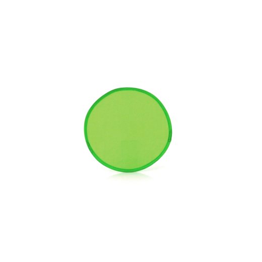 frisbee-watson-7.jpg